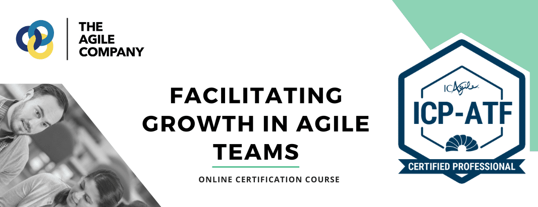 Agile Team Facilitation Certification Online The Agile Company