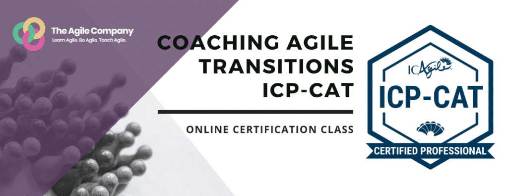 Coaching Agile Transitions