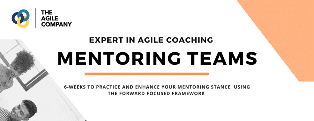 Expert in Agile Coaching