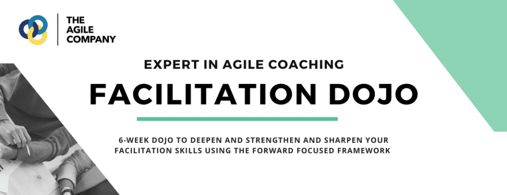 expert in Agile coaching