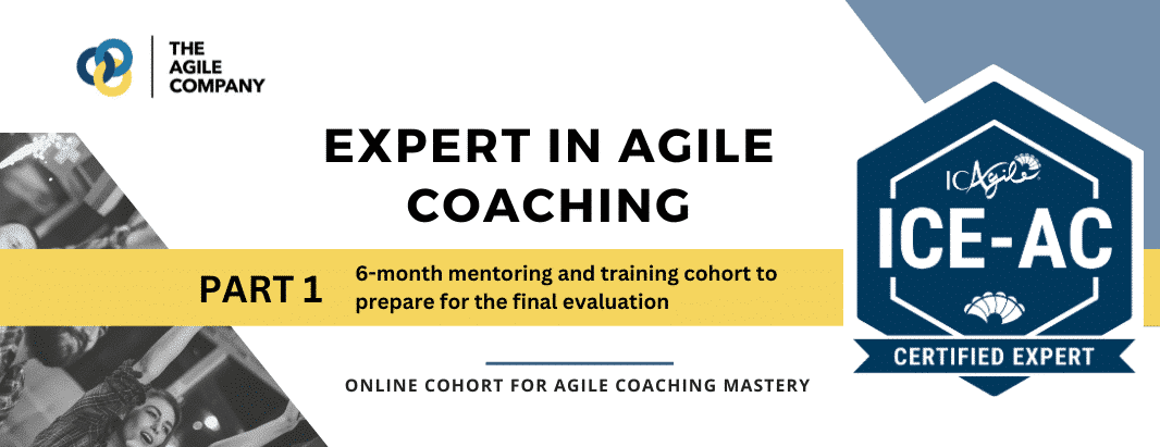 Expert Agile Coach | The Agile Company