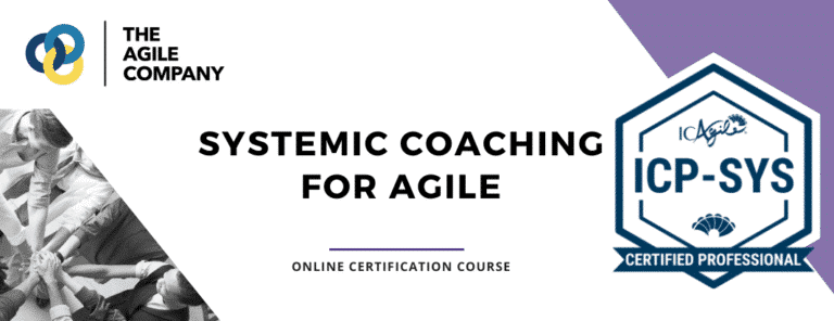 ICP SYS Training Agile Systemic coaching banner