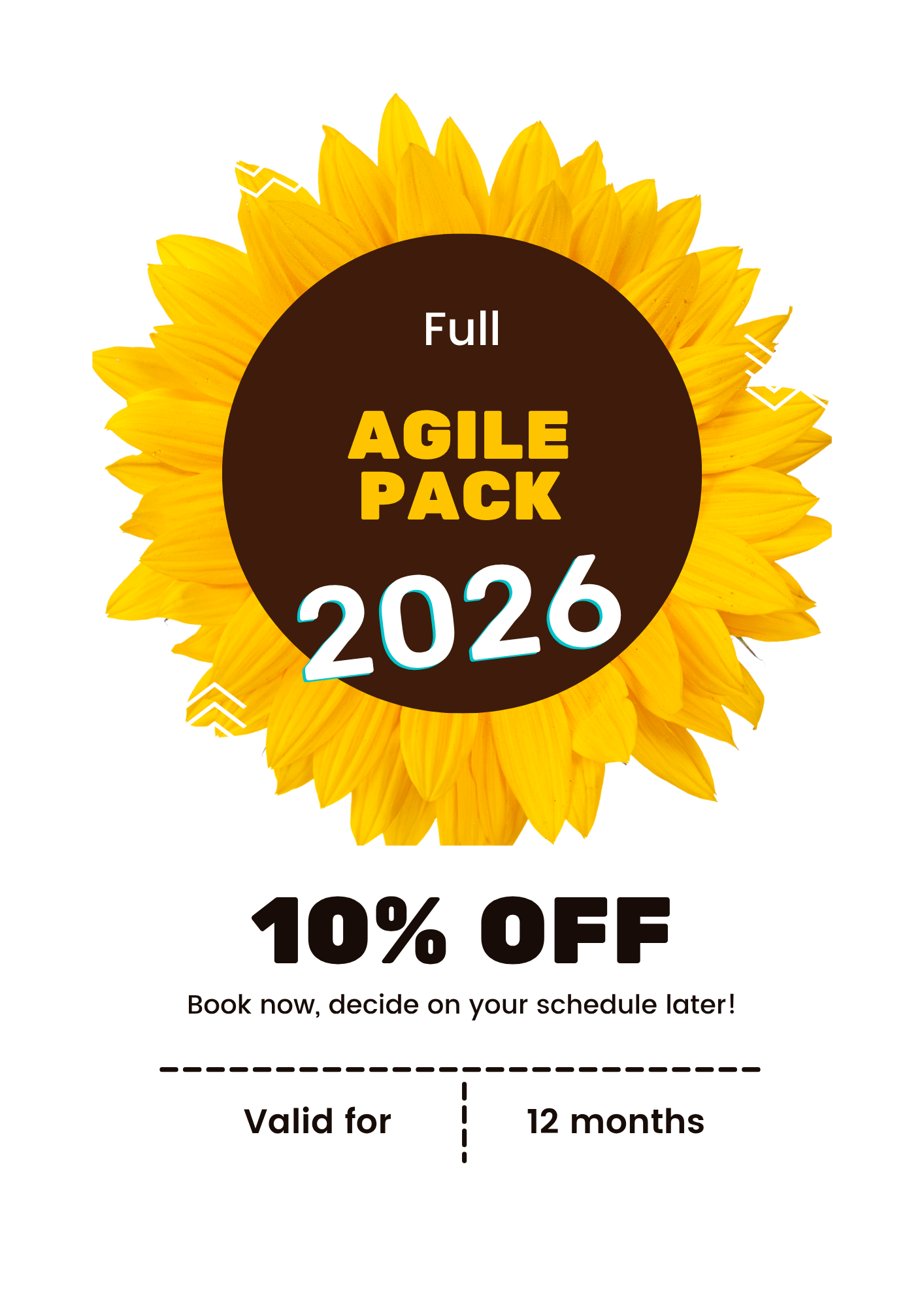 Full System Agile Coach Certification Bundle