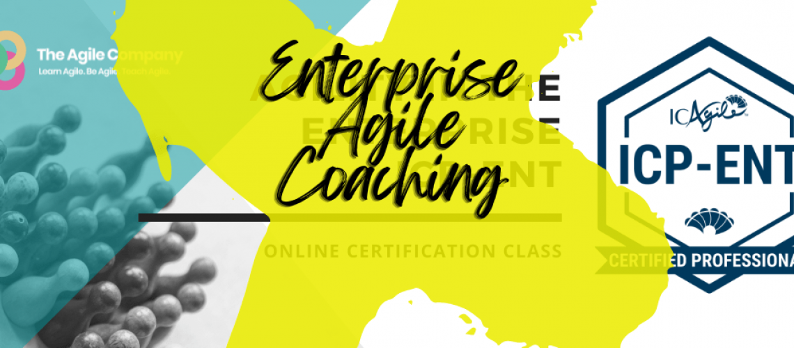 enterprise agile coaching