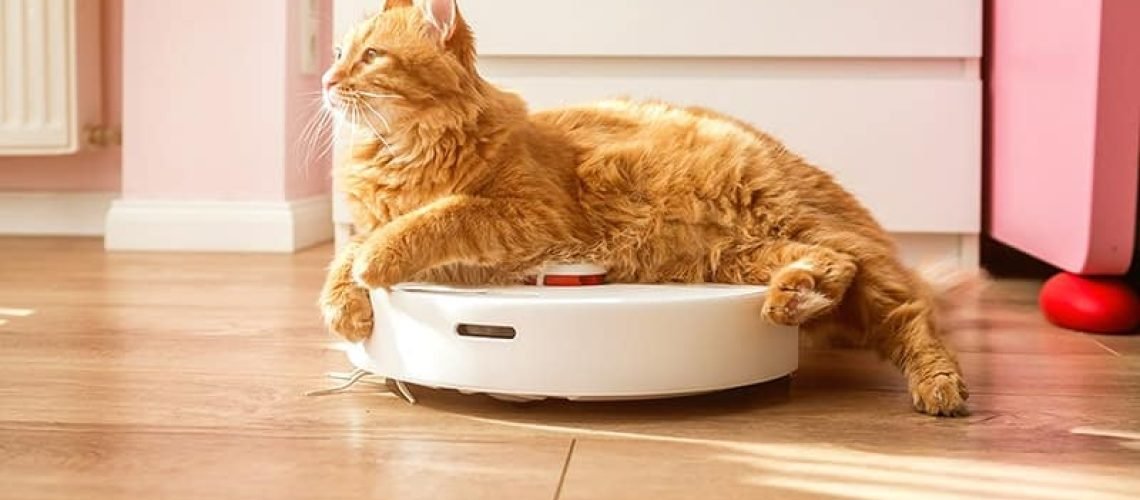 orange-cat-riding-a-roomba-or